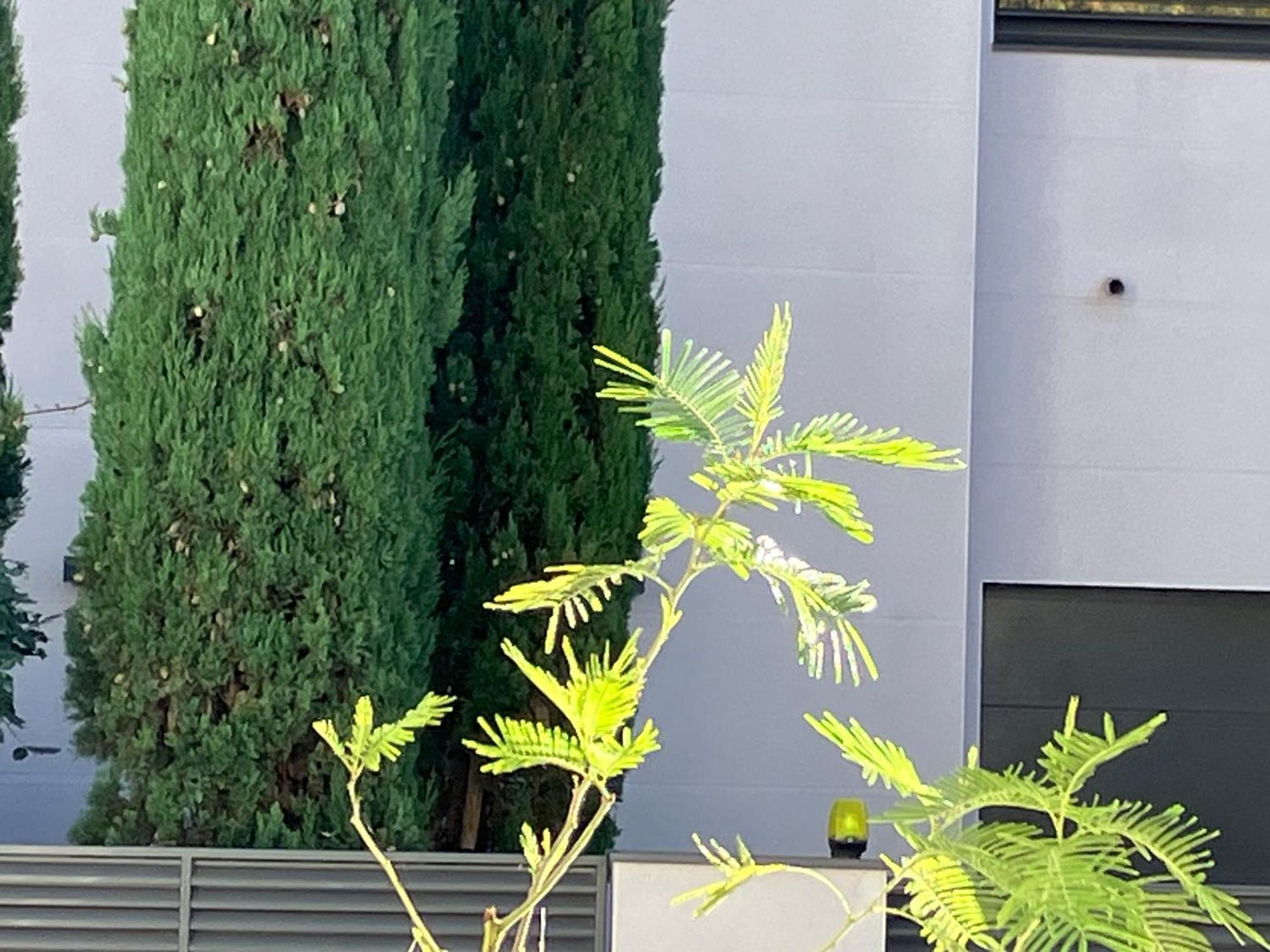 Toulousaine Arboree - Parking Public 圖盧茲 外观 照片
